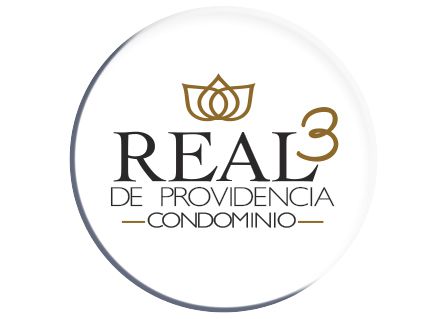 Demo Logo